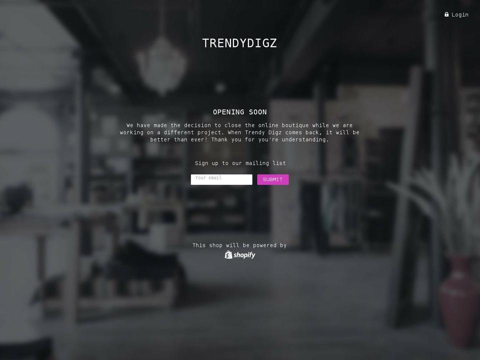 trendydigz.com — Shopify storefront screenshot