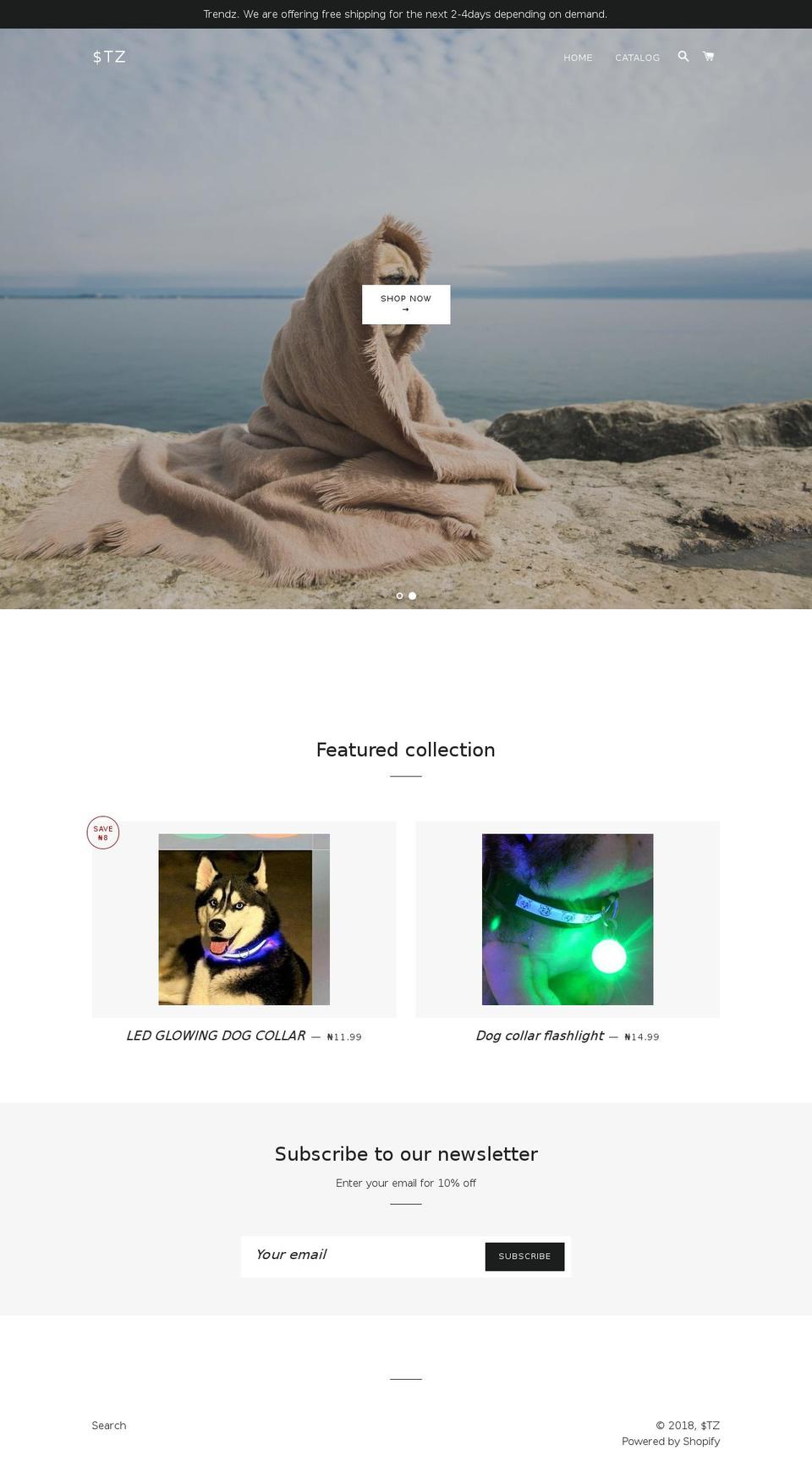 trendz4us.com — Shopify storefront screenshot