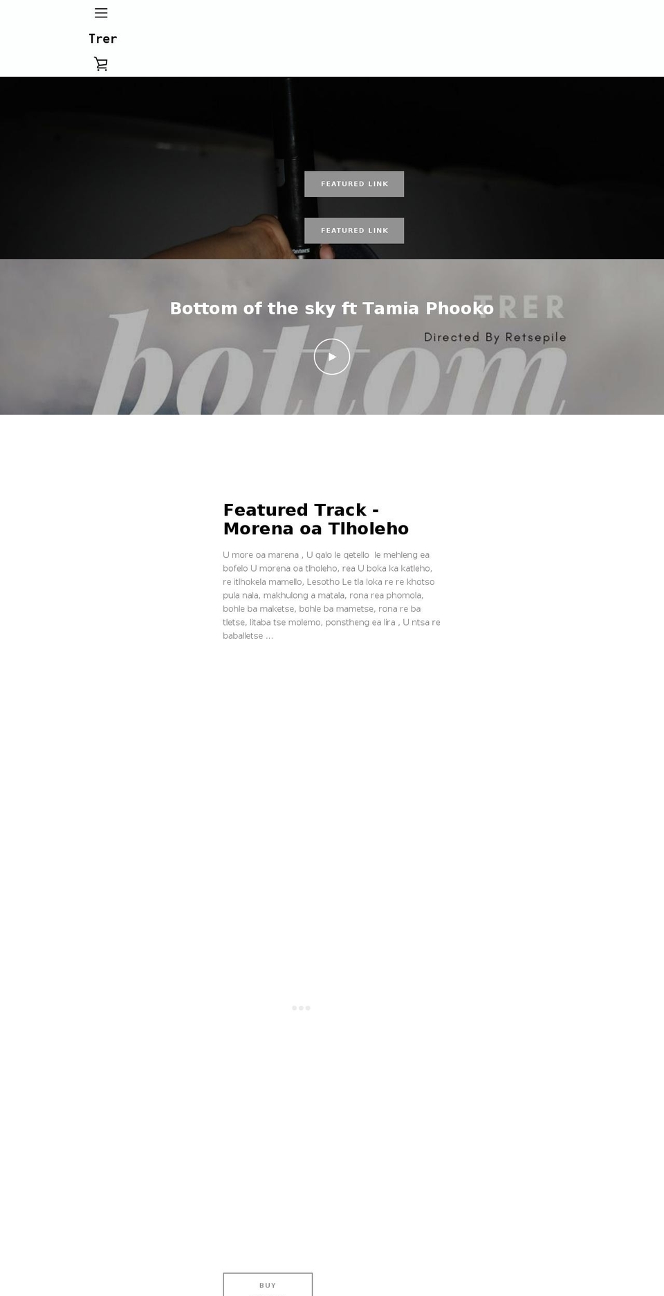trermusic.com — Shopify storefront screenshot