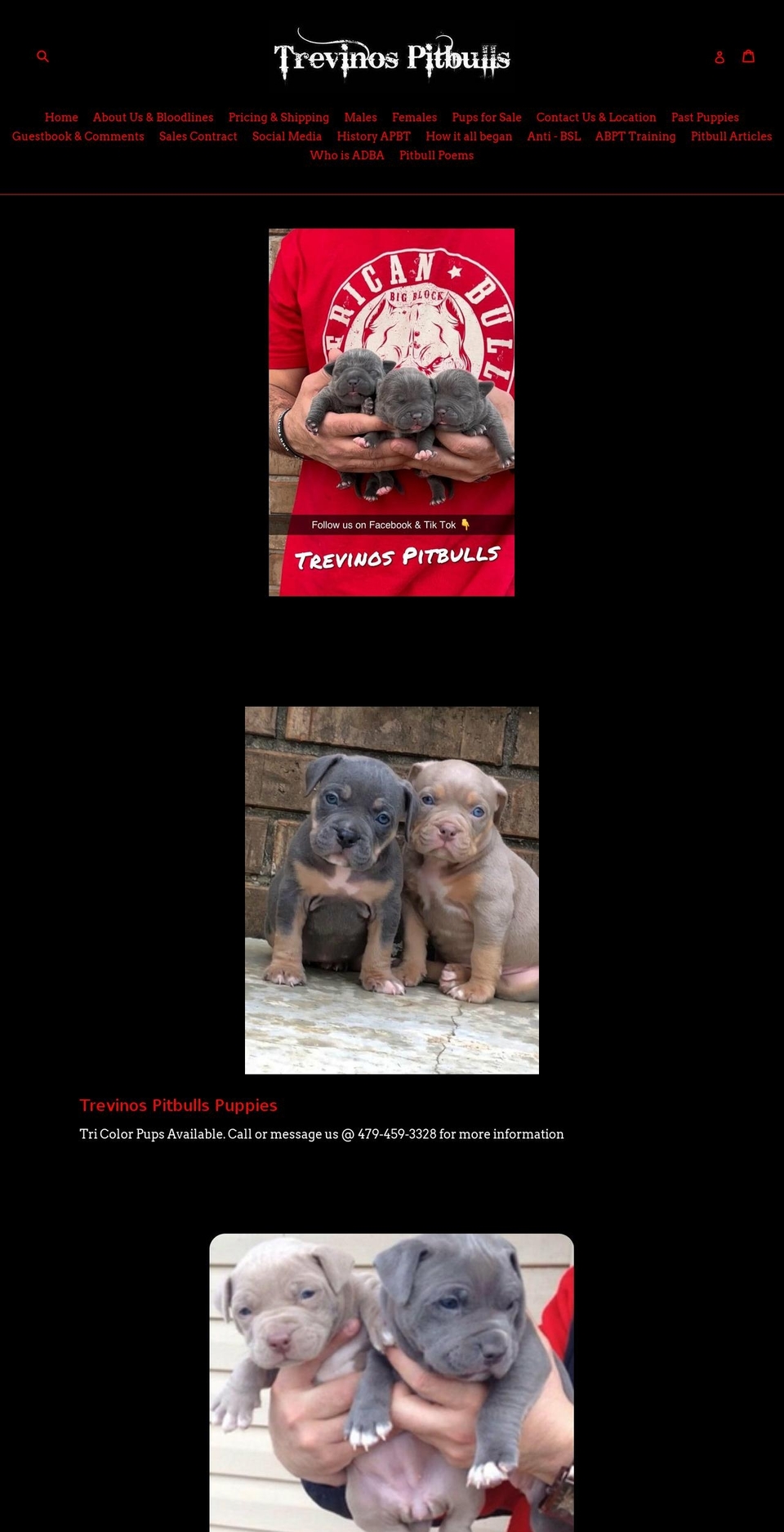 trevinos-pitbulls.com — Shopify storefront screenshot