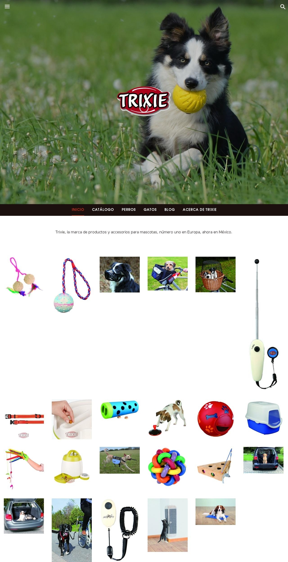 trixiemexico.com shopify website screenshot