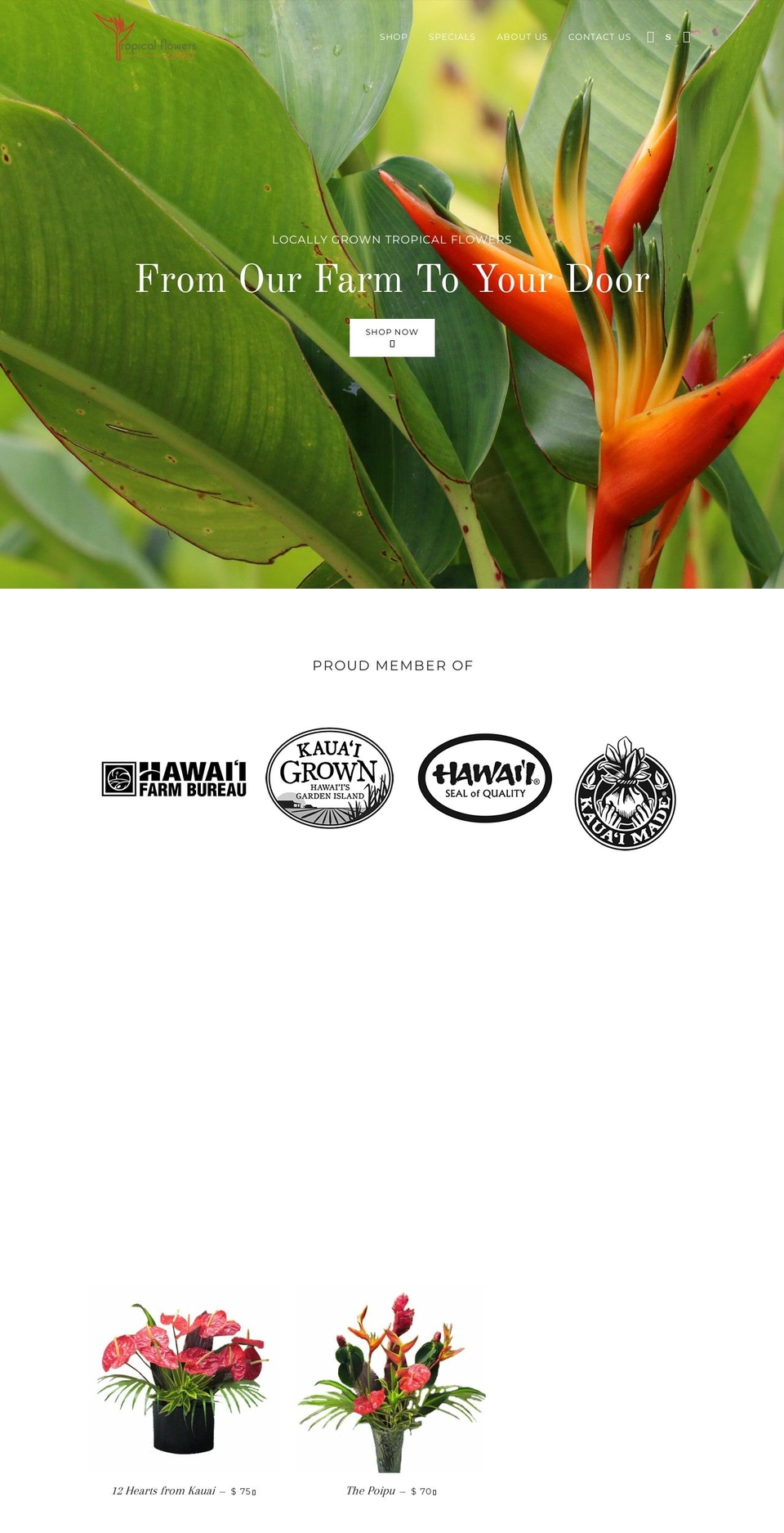 tropicalflowerexpress.com — Shopify storefront screenshot