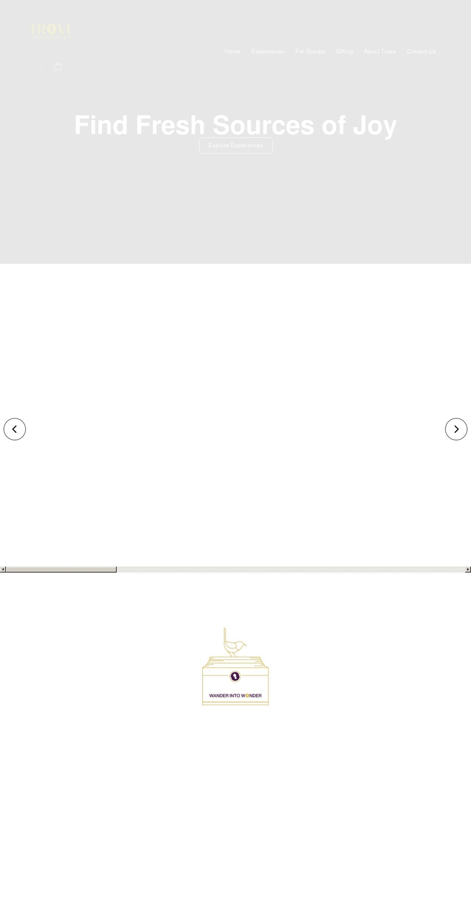 troveexperiences.com shopify website screenshot