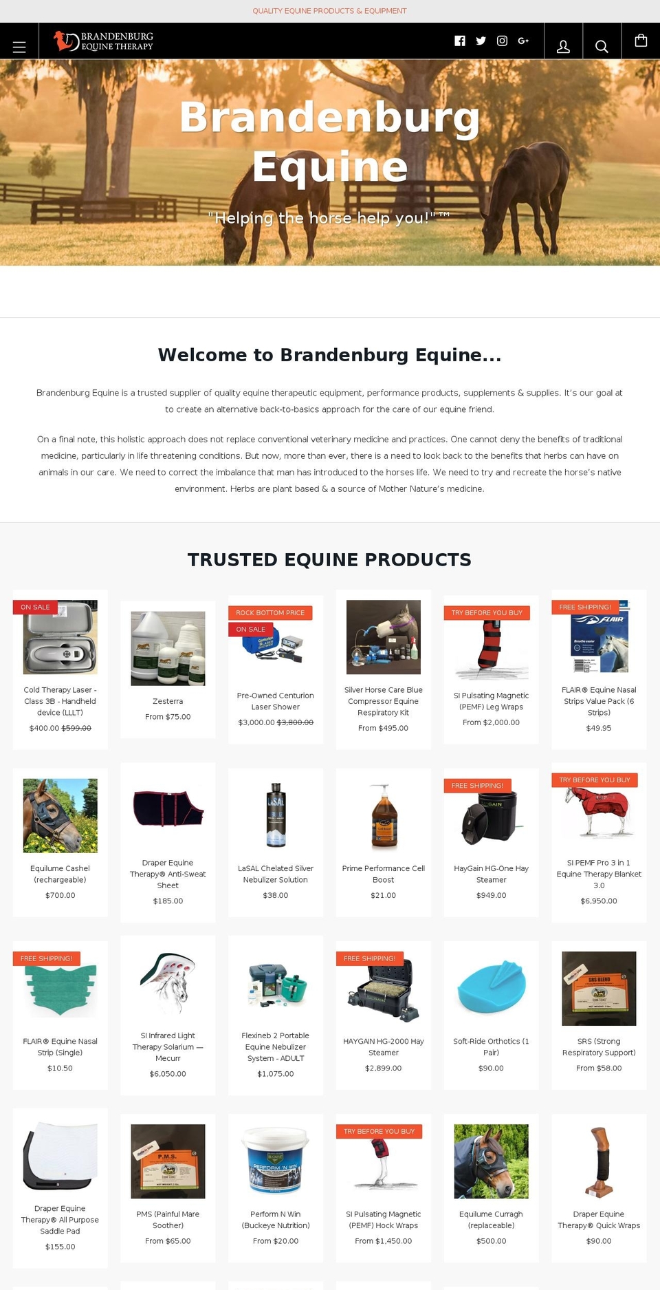 troybrandenburg.com — Shopify storefront screenshot