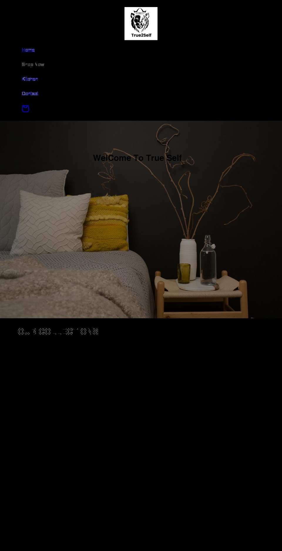 true2self.net shopify website screenshot