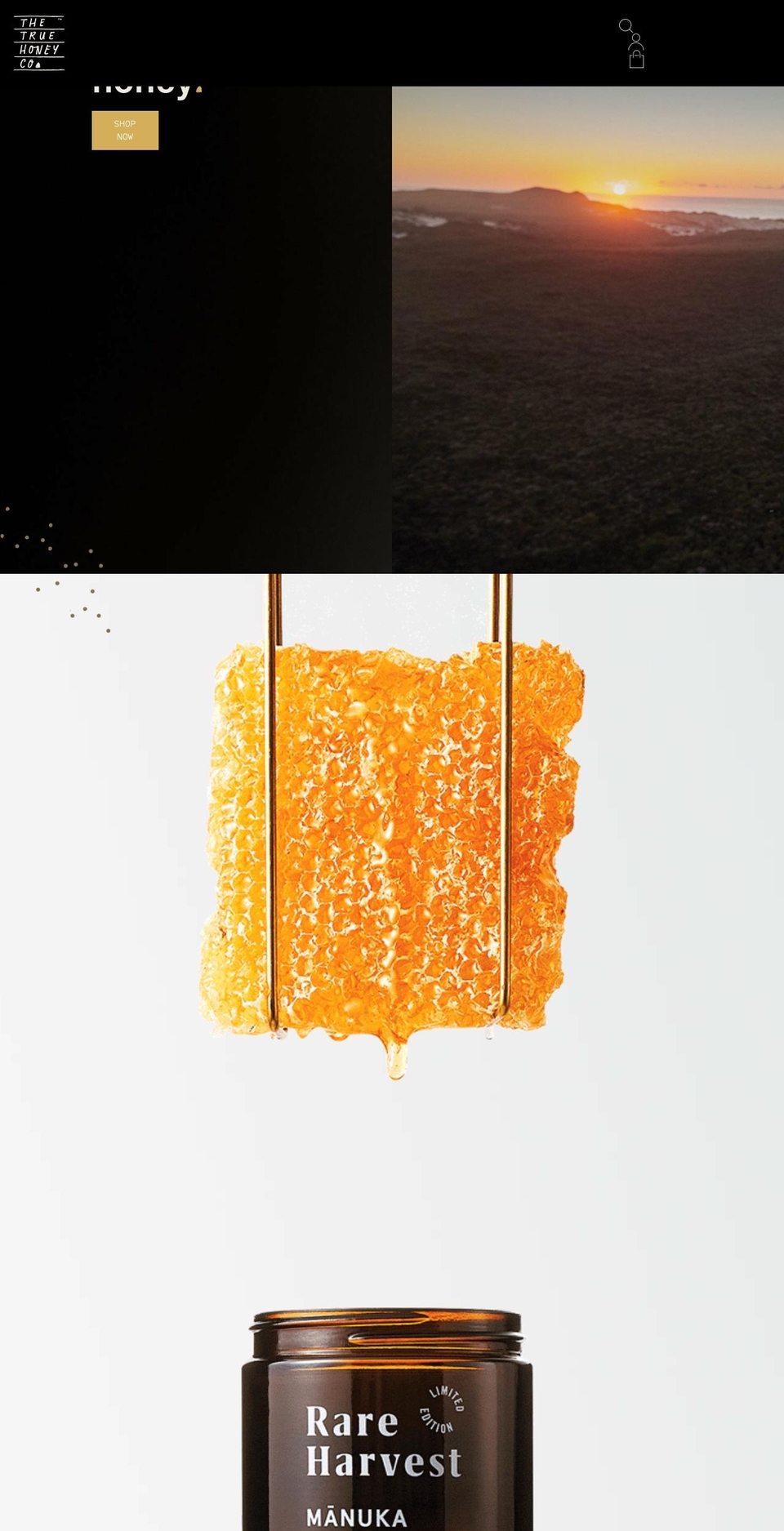 truehoneyco.co.uk shopify website screenshot