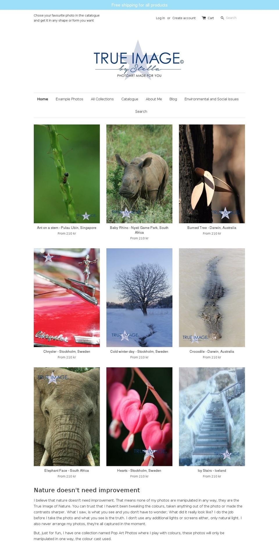 trueimagebystella.com shopify website screenshot