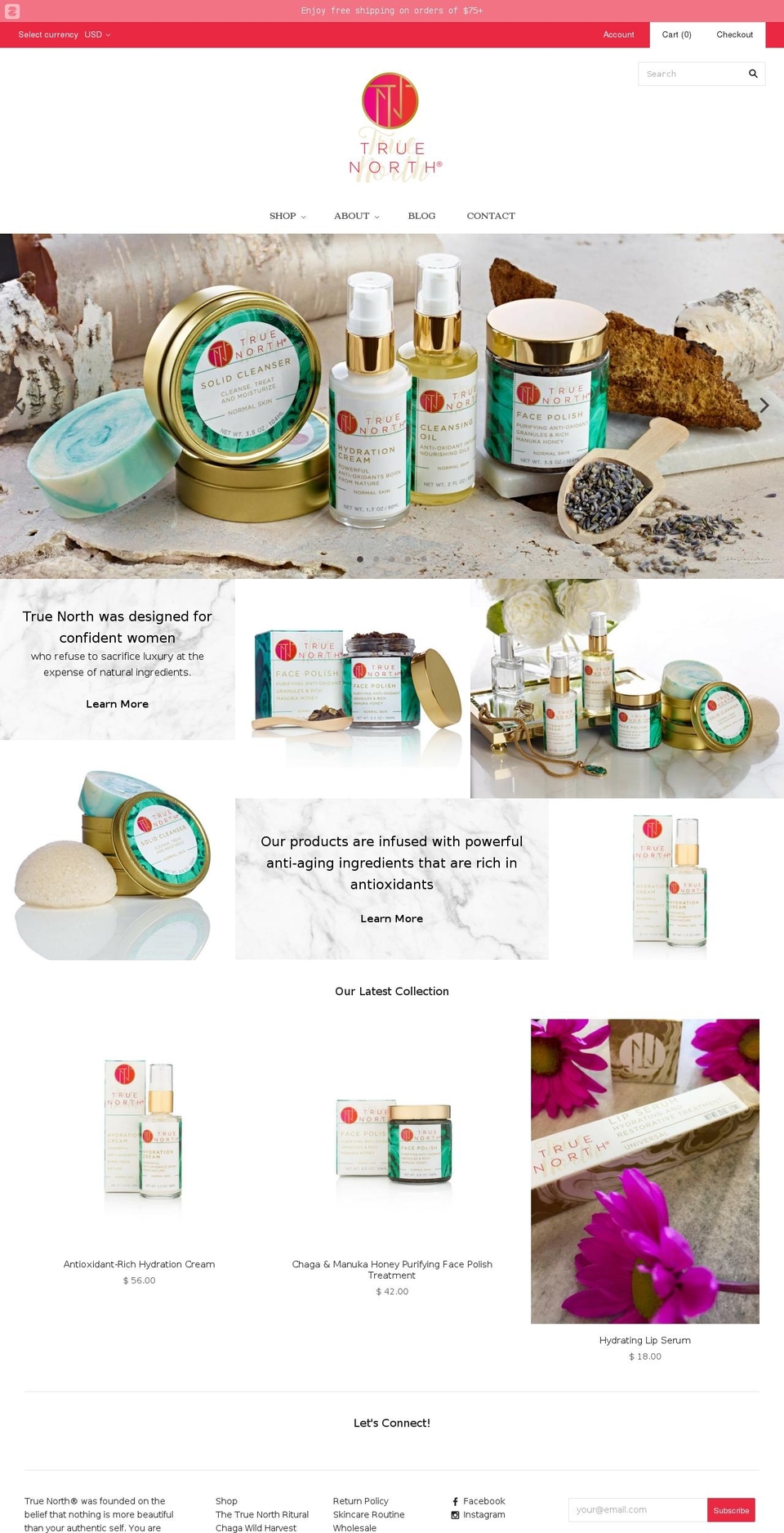 truenorthbeauty.com shopify website screenshot