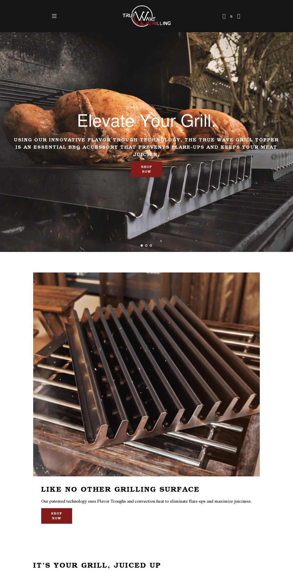 truewavegrilling.com shopify website screenshot
