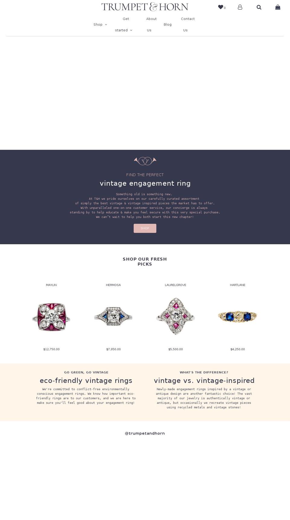 trumpetandhorn.com shopify website screenshot