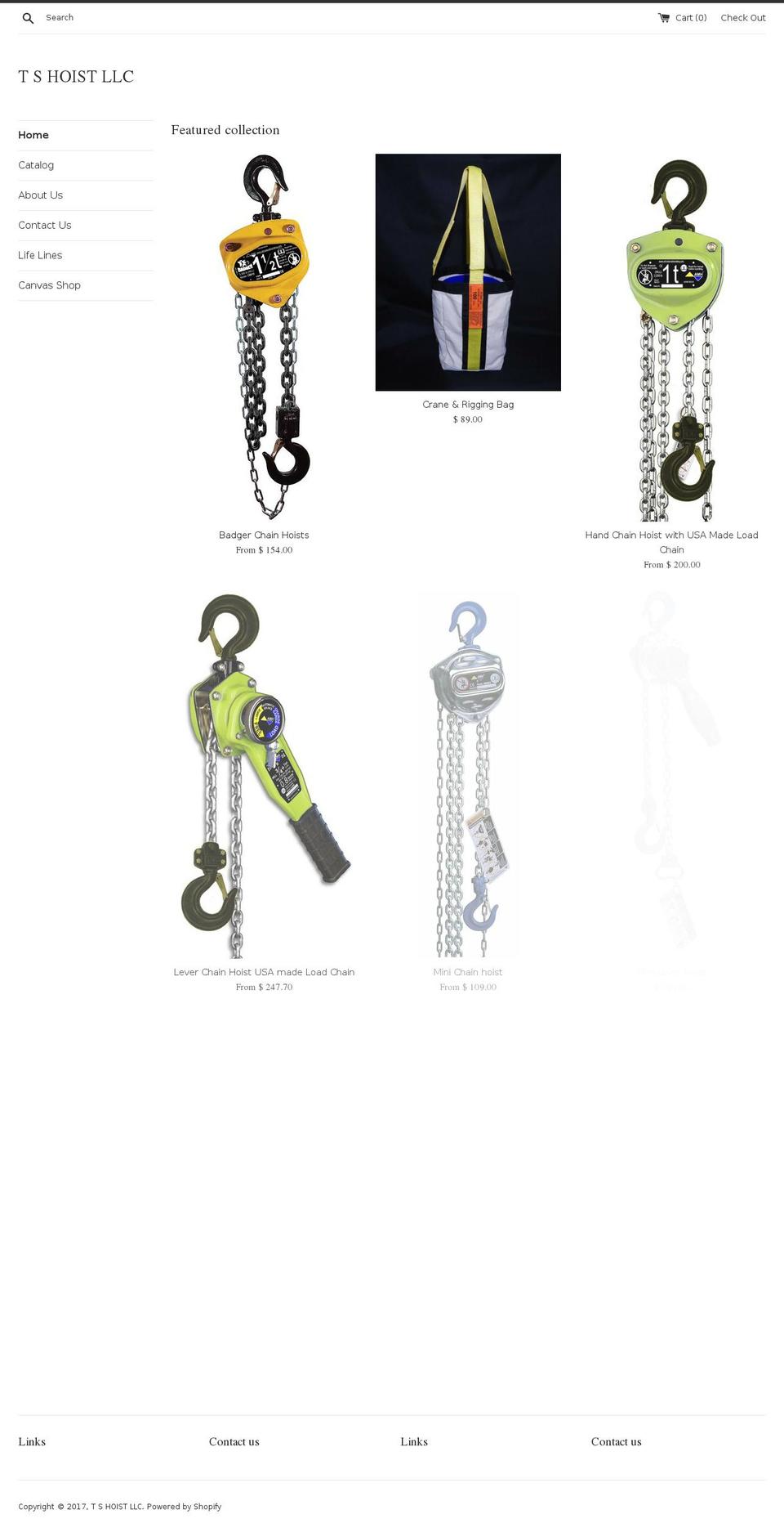 tshoistllc.com shopify website screenshot