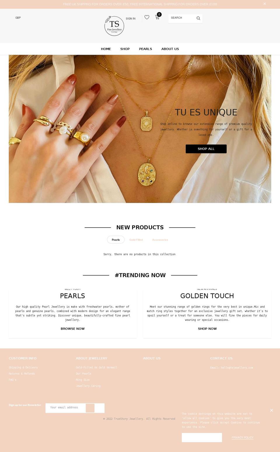 tsjewellery.com shopify website screenshot