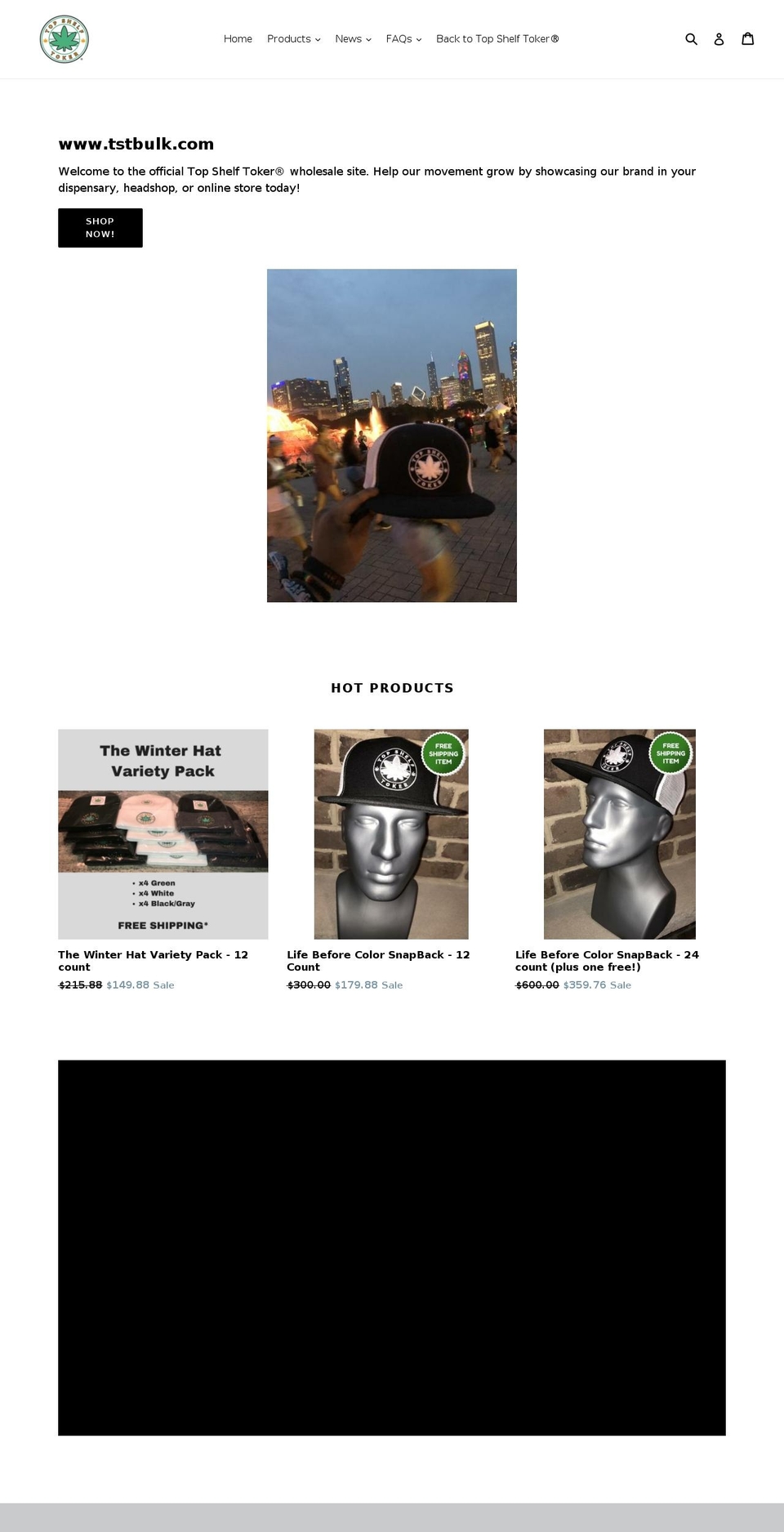 tstwholesale.com — Shopify storefront screenshot