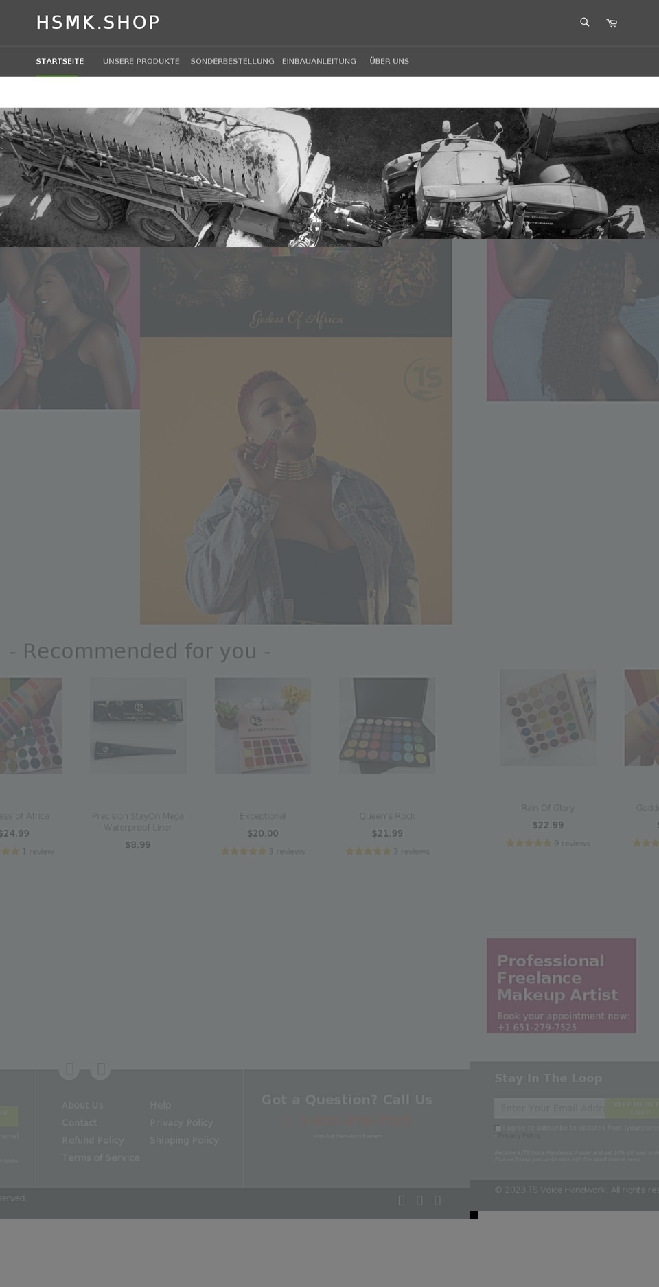 tsvoicehandwork.com shopify website screenshot