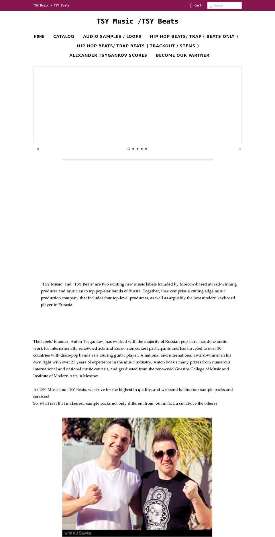 tsy-music.com shopify website screenshot