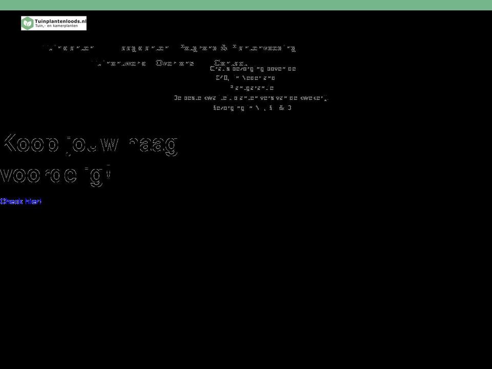 tuinplantenloods.nl shopify website screenshot