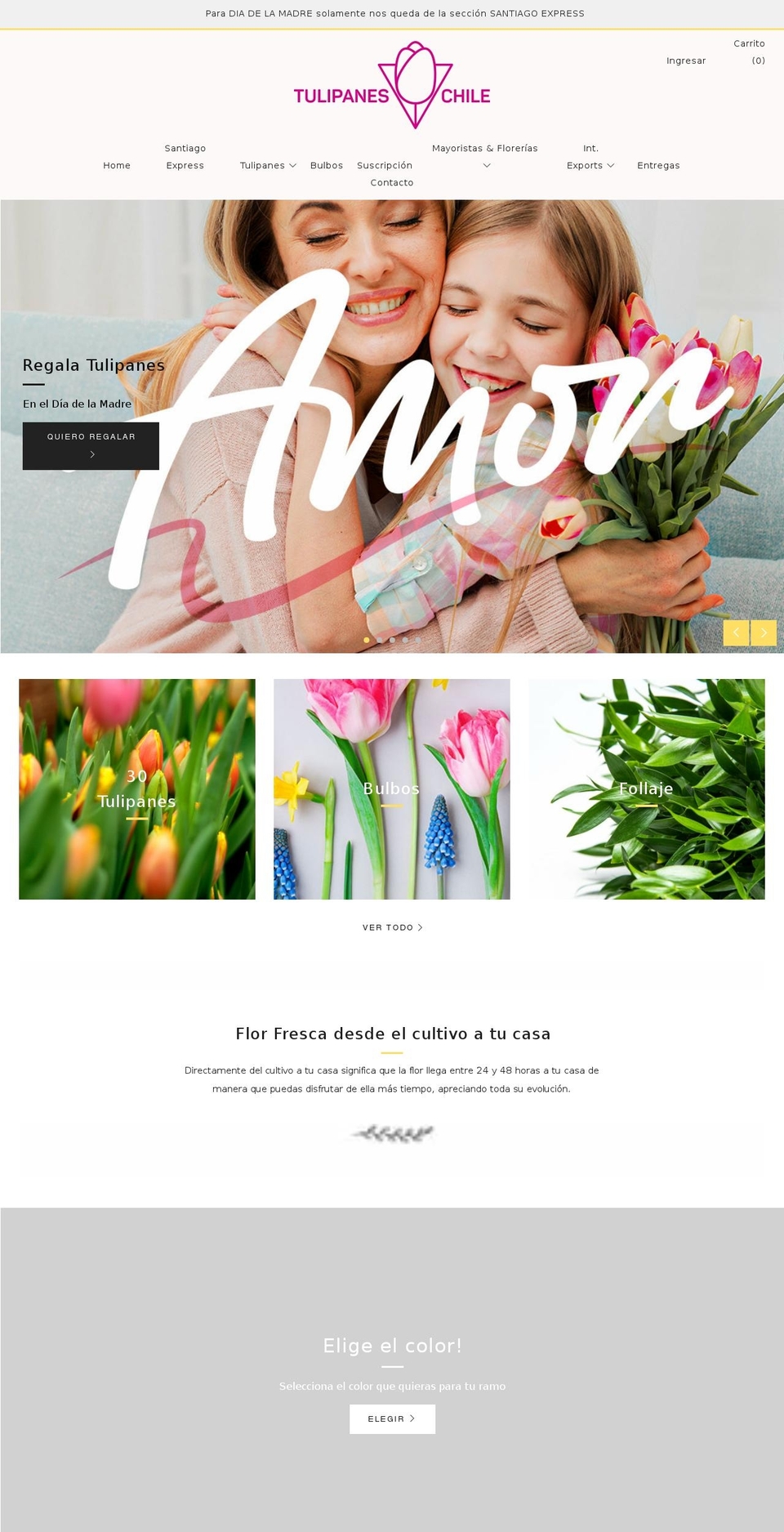 tulipaneschile.cl shopify website screenshot