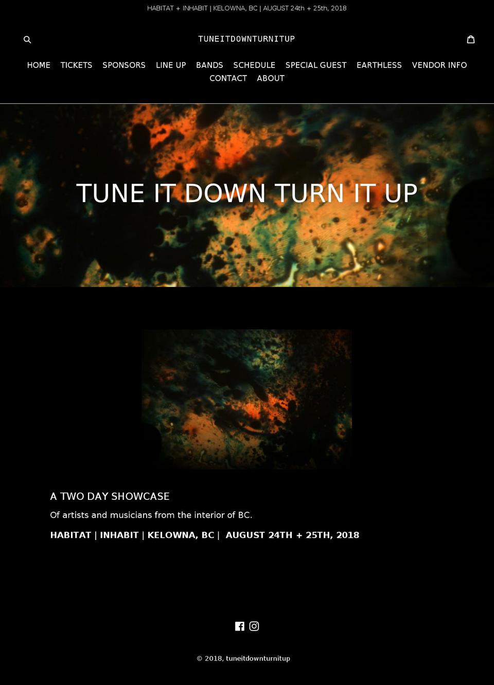 tuneitdownturnitup.com shopify website screenshot