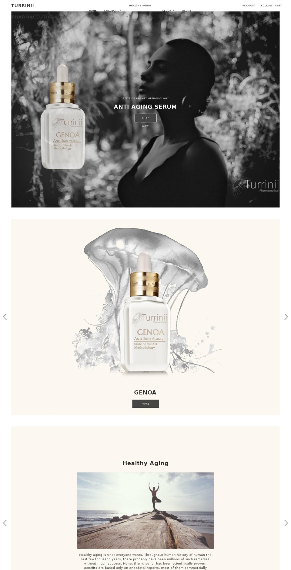 turrinii.com — Shopify storefront screenshot