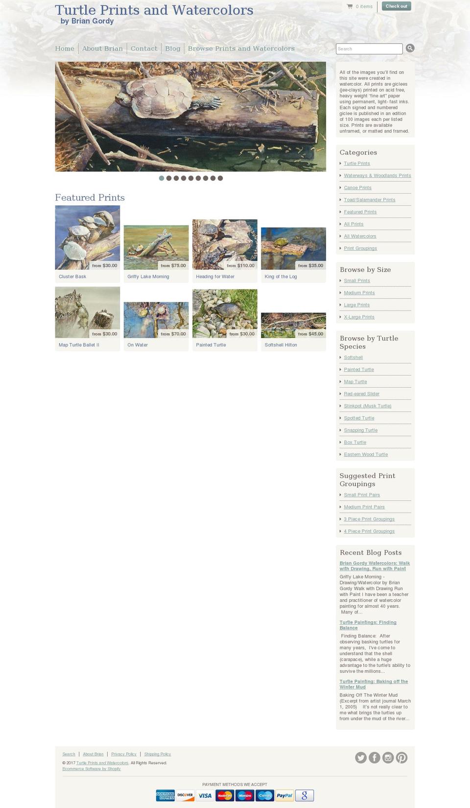 turtlepaintings.com shopify website screenshot