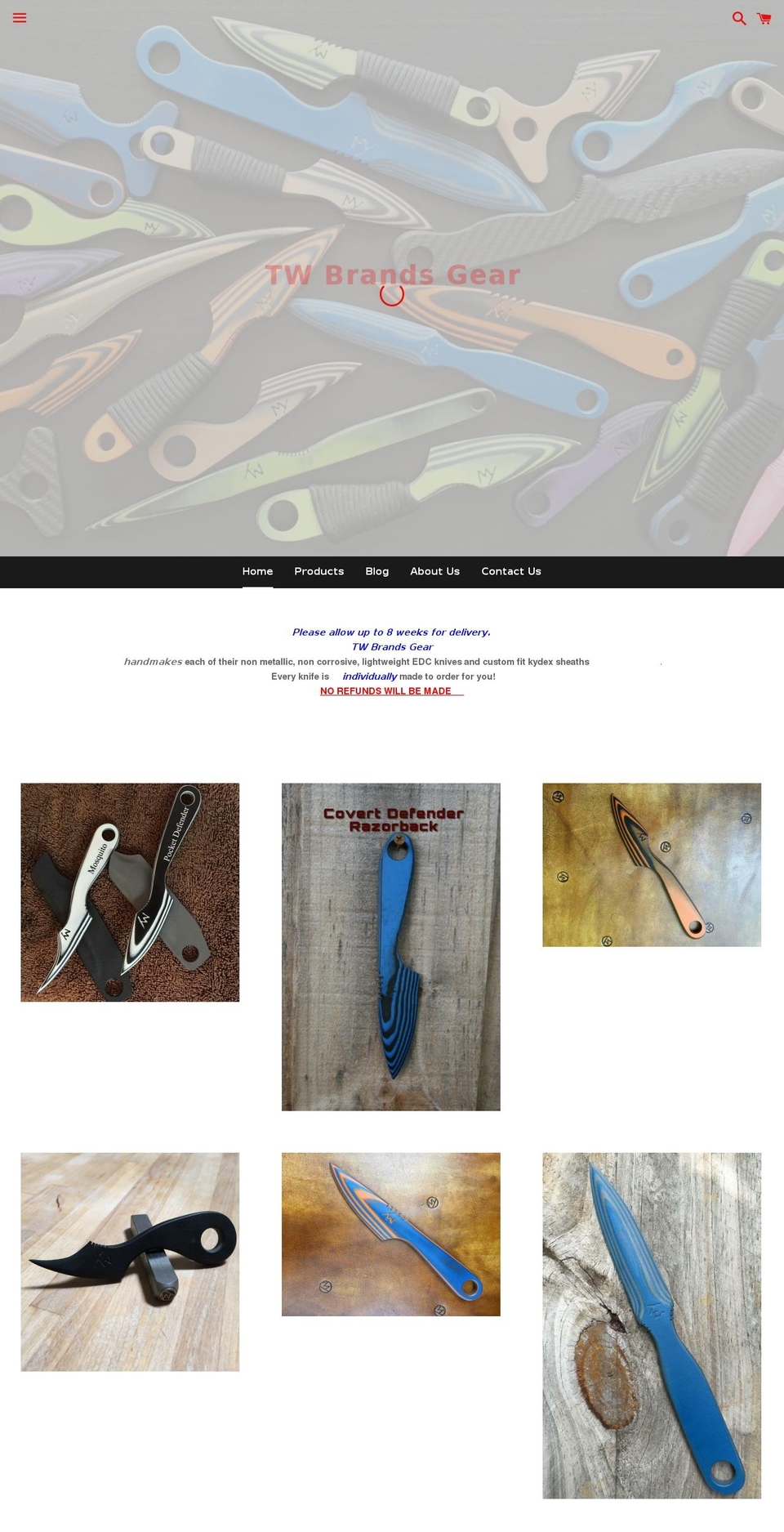 twbrandsgear.com shopify website screenshot