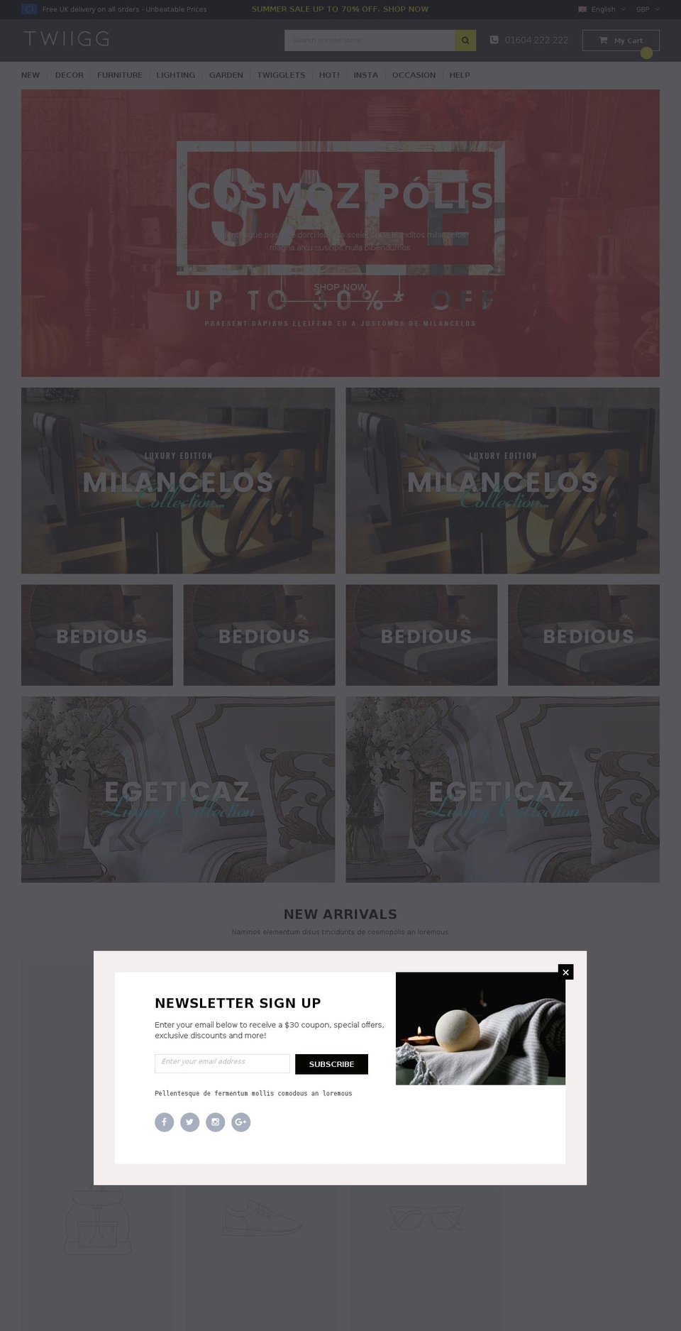 twiigg.com — Shopify storefront screenshot