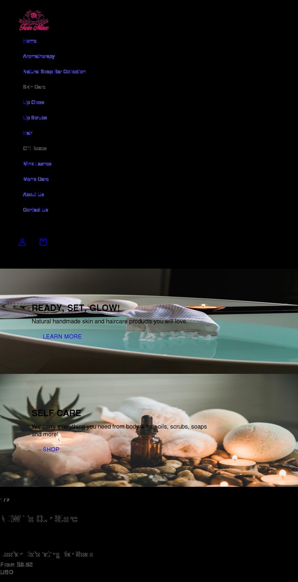 twinminxcosmetics.com shopify website screenshot