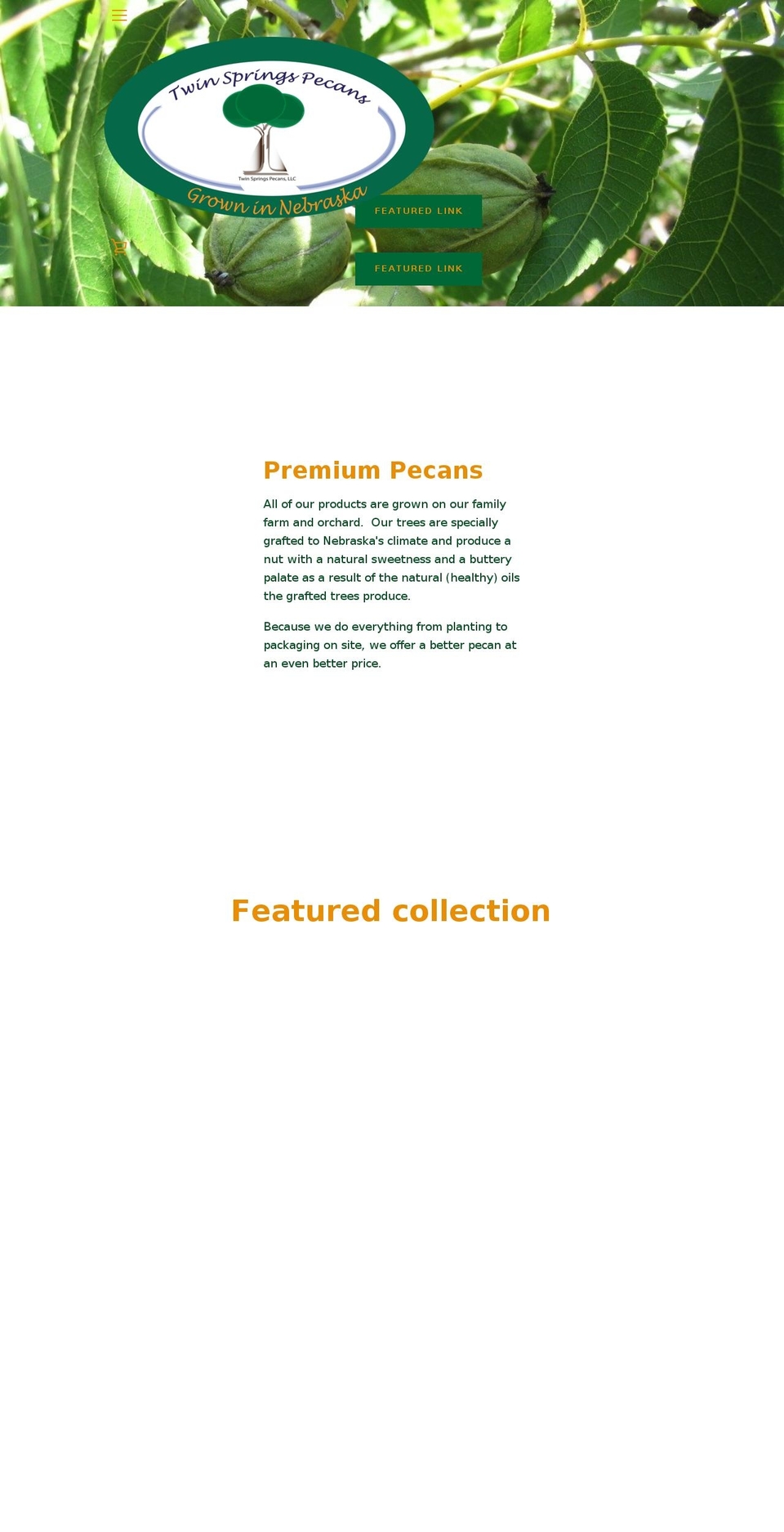 twinspringspecans.com — Shopify storefront screenshot