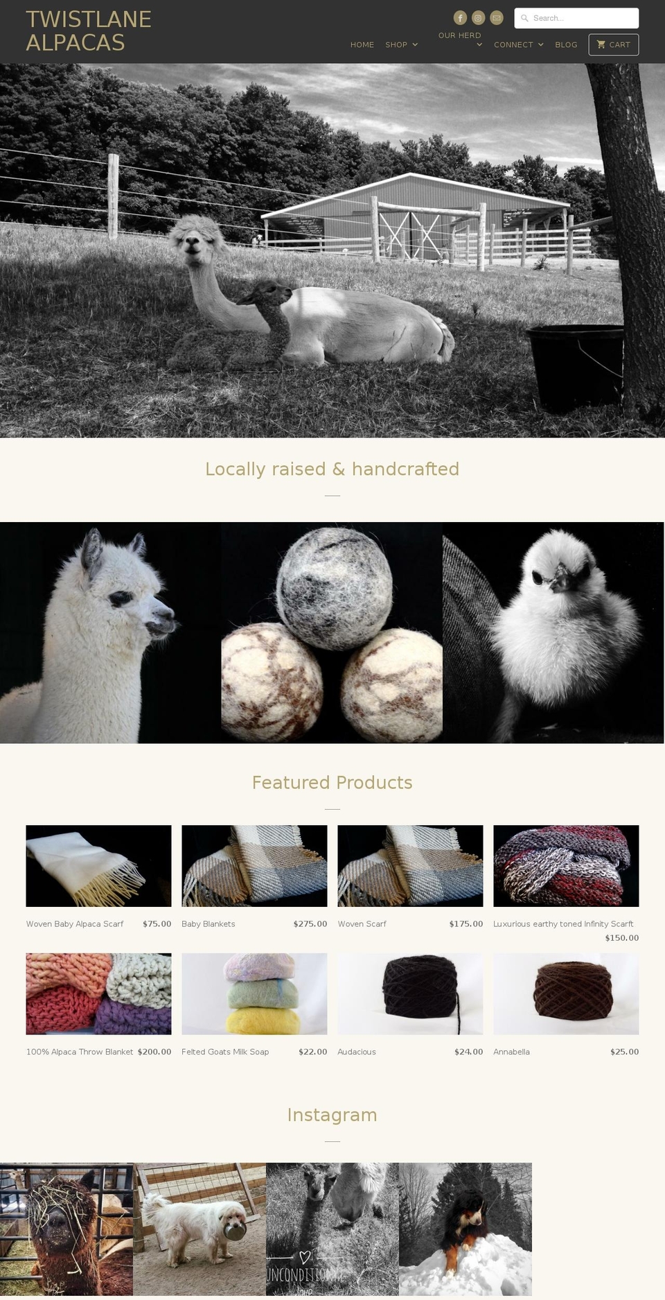 twistlane.com shopify website screenshot