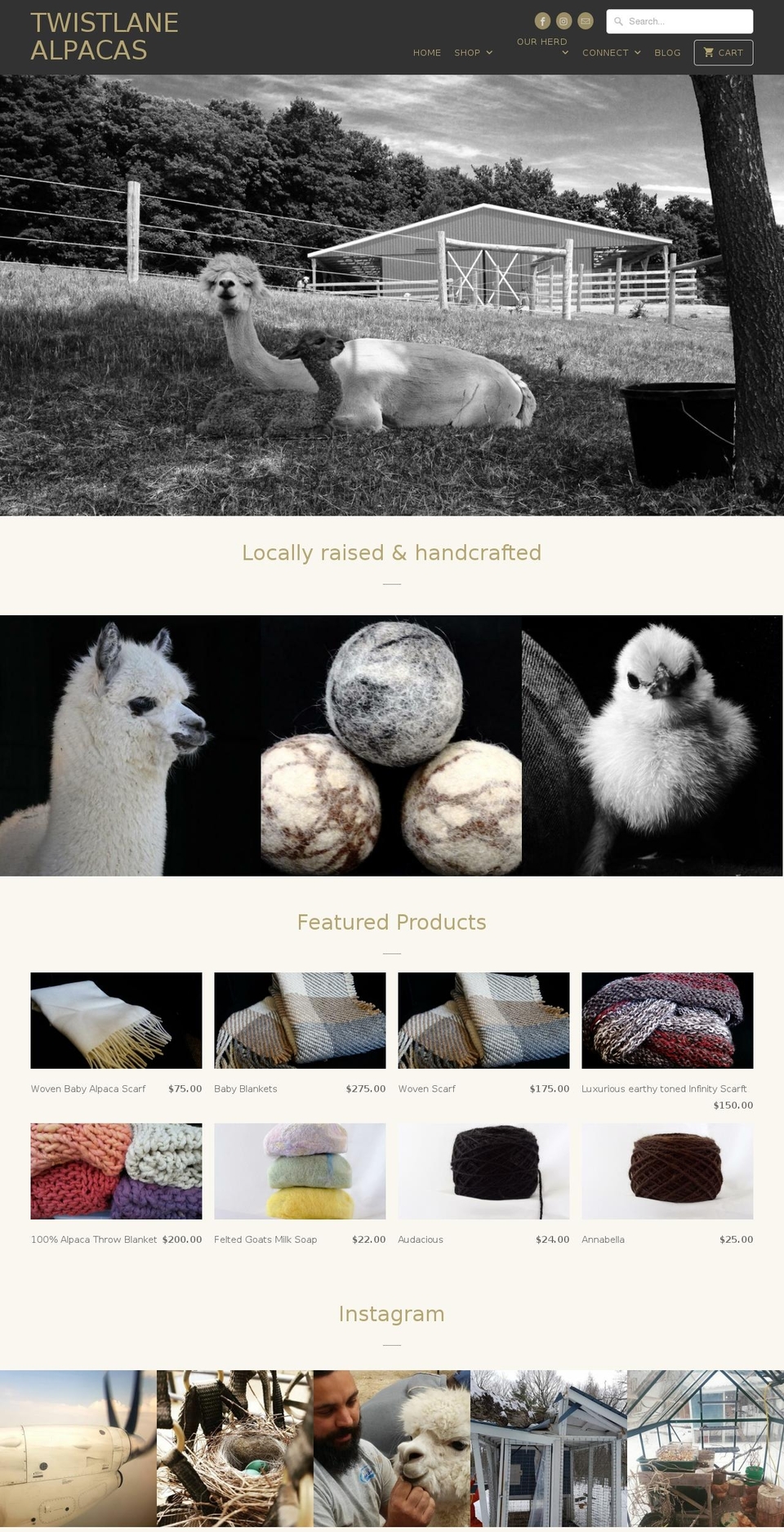 twistlanealpacas.com shopify website screenshot