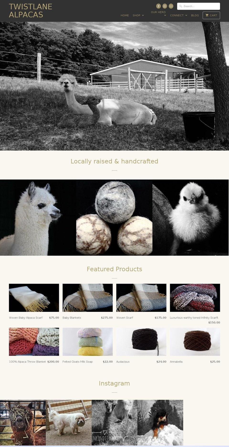 twistlanemaplesyrup.com shopify website screenshot