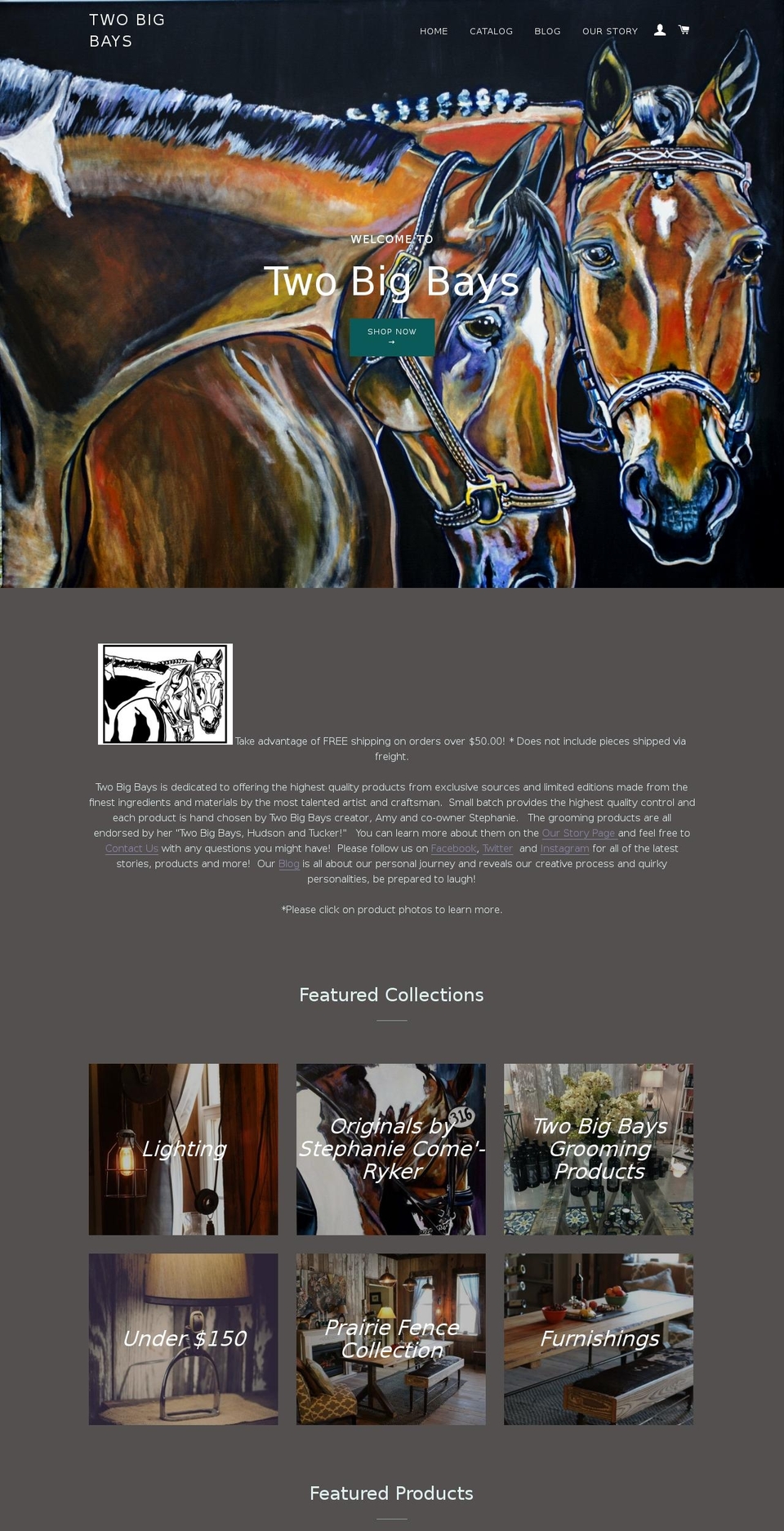 twobigbays.com shopify website screenshot