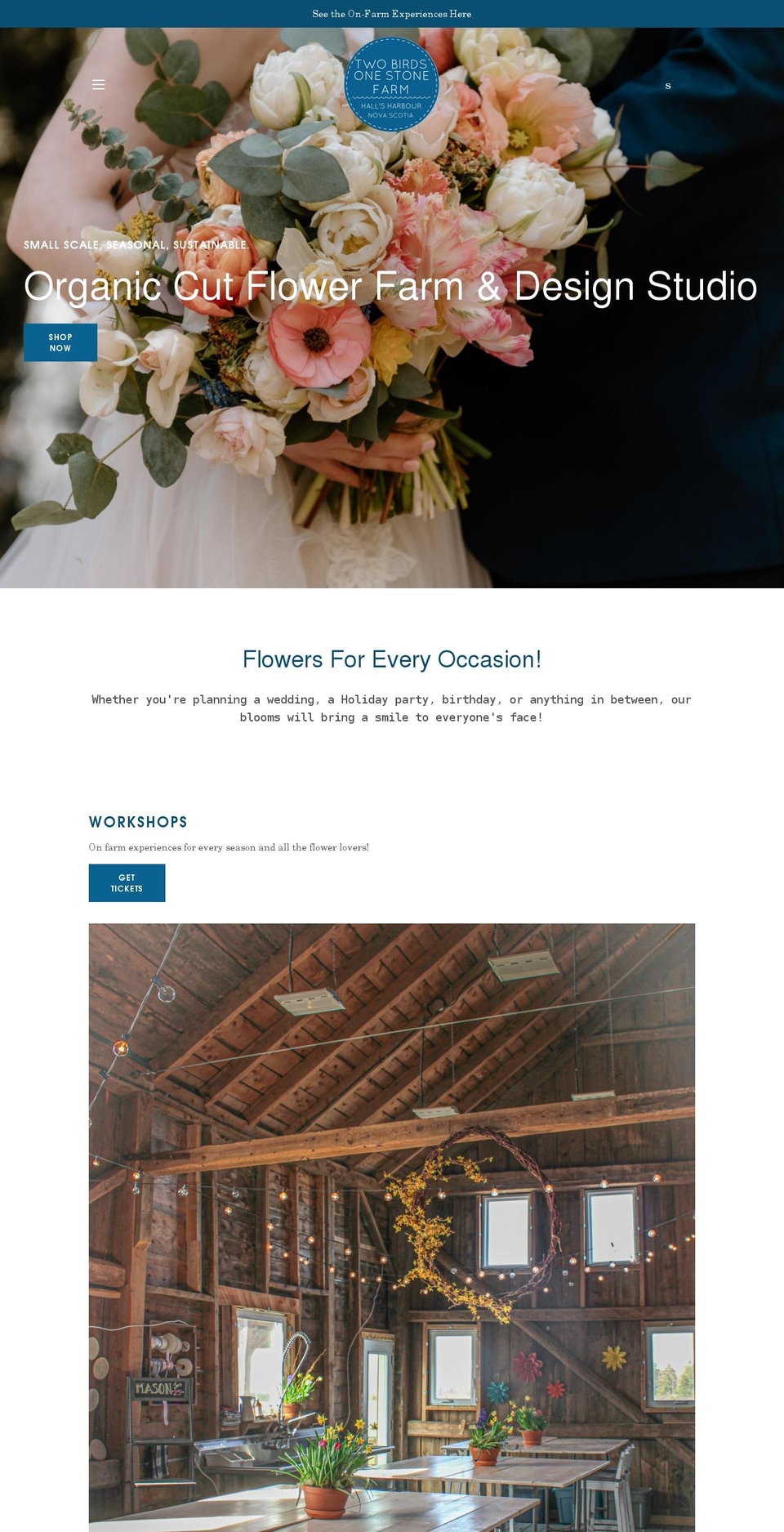 twobirdsonestonefarm.com shopify website screenshot
