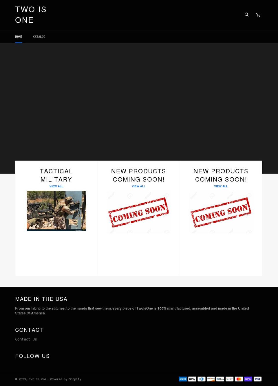 twoisone.org shopify website screenshot