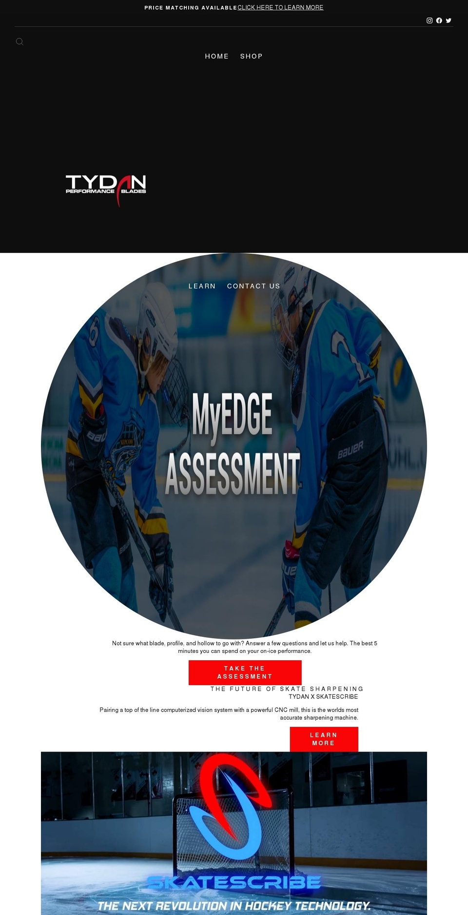 tydanblades.ca shopify website screenshot