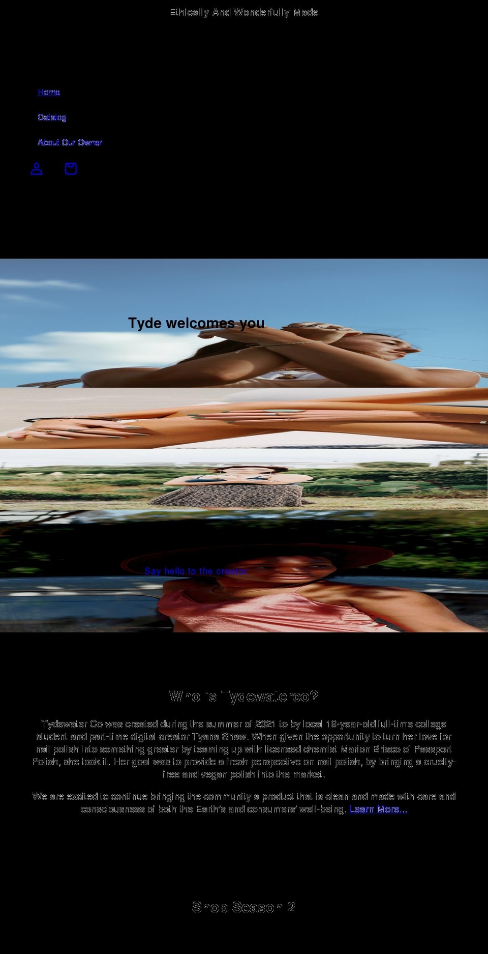 tydewaterco.com shopify website screenshot