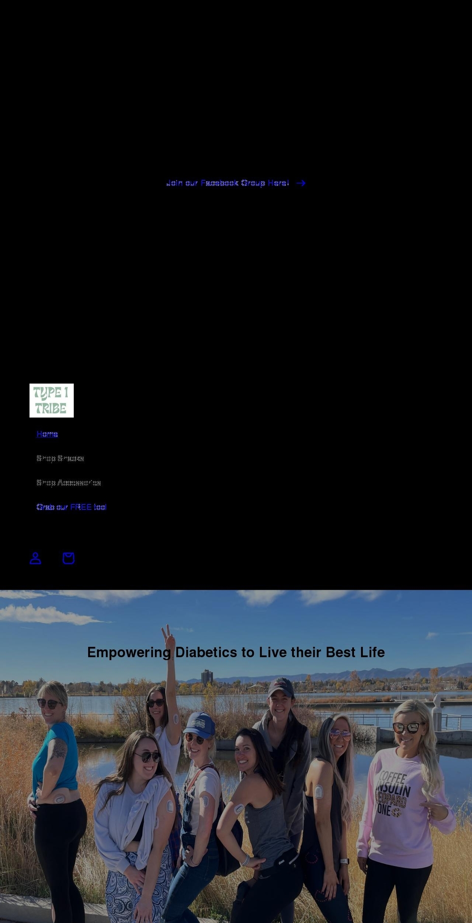 type1tribe.com shopify website screenshot
