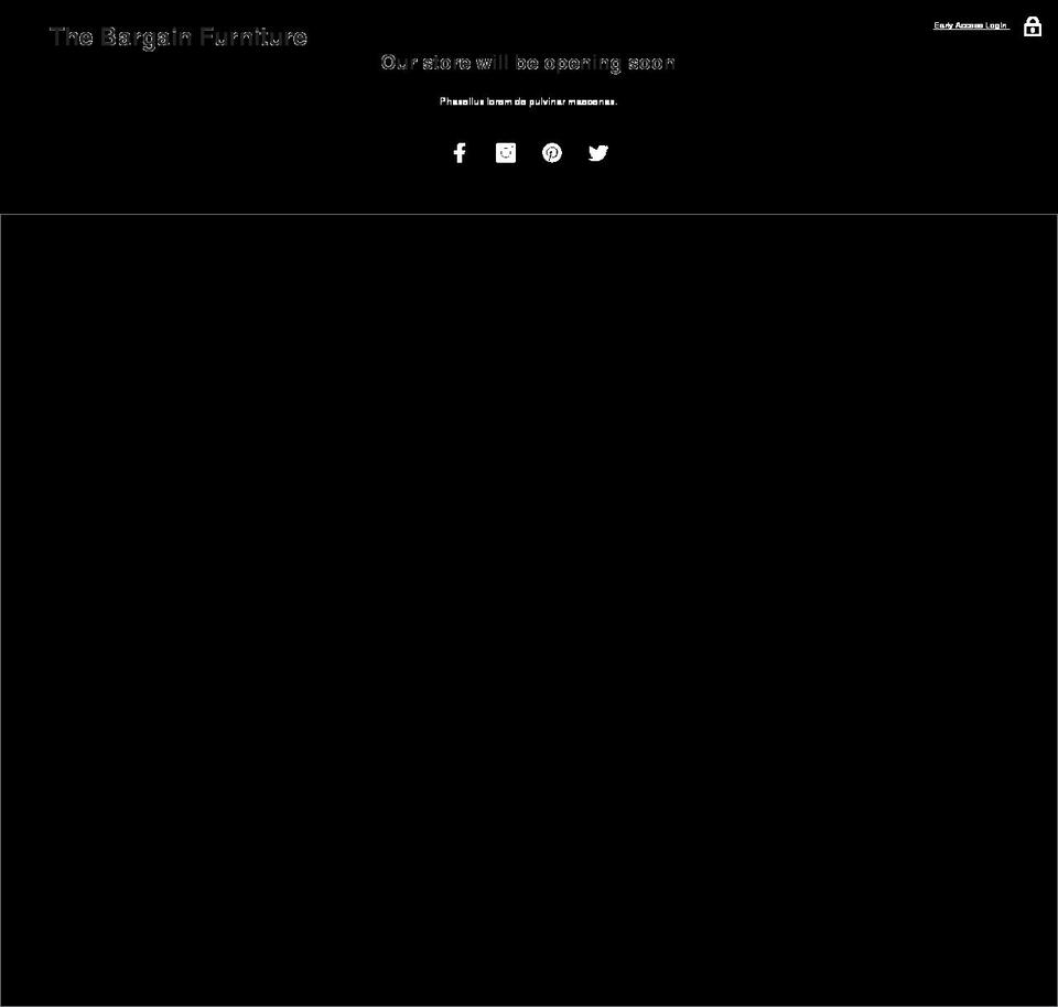 tzvirginia.com — Shopify storefront screenshot