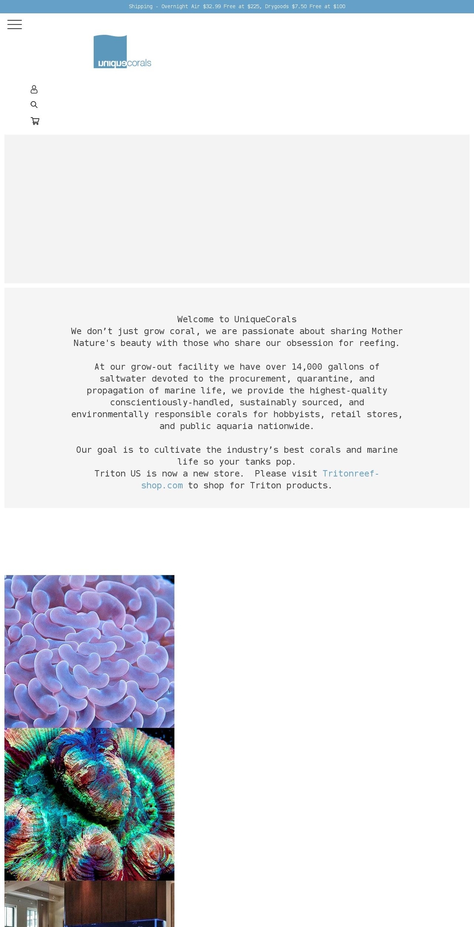Copy of expressions-new Shopify theme site example uniquecorals.myshopify.com