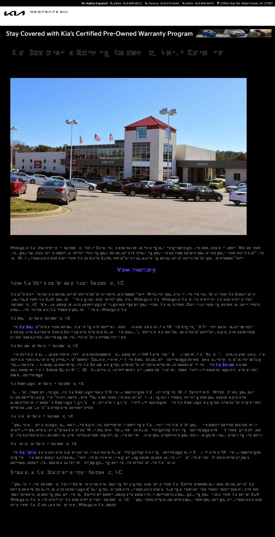 uniquexpressionz.com — Shopify storefront screenshot