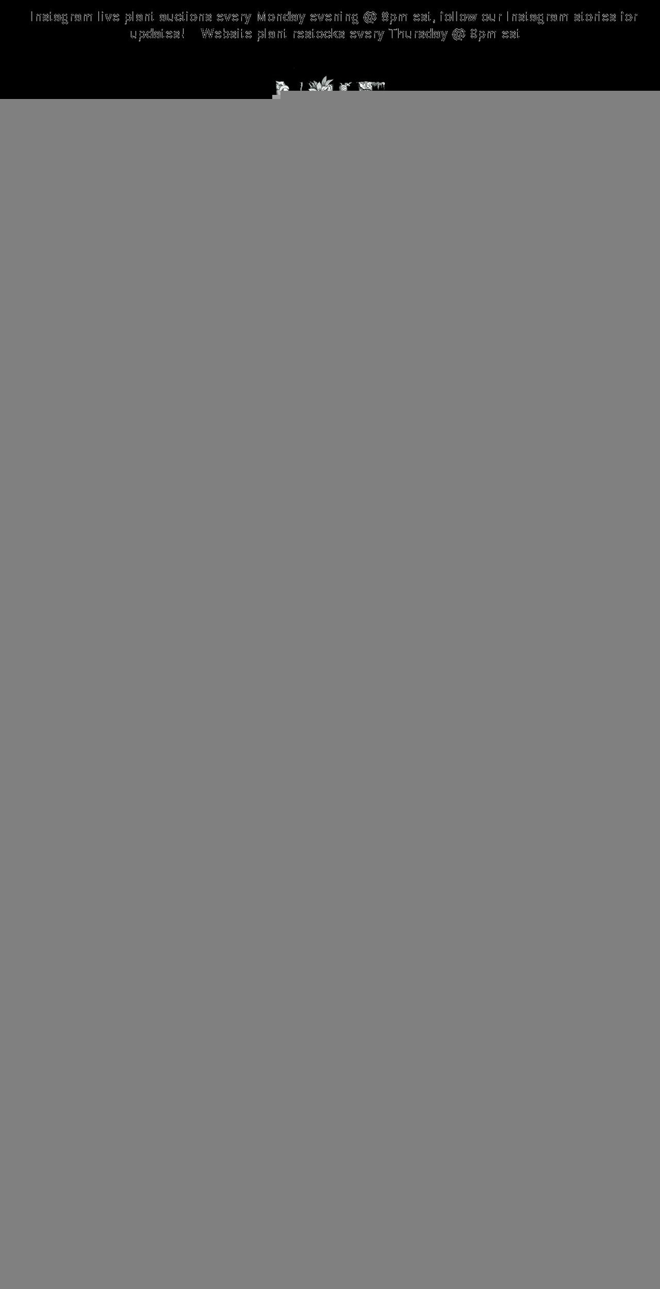 urbantek-usa.com — Shopify storefront screenshot