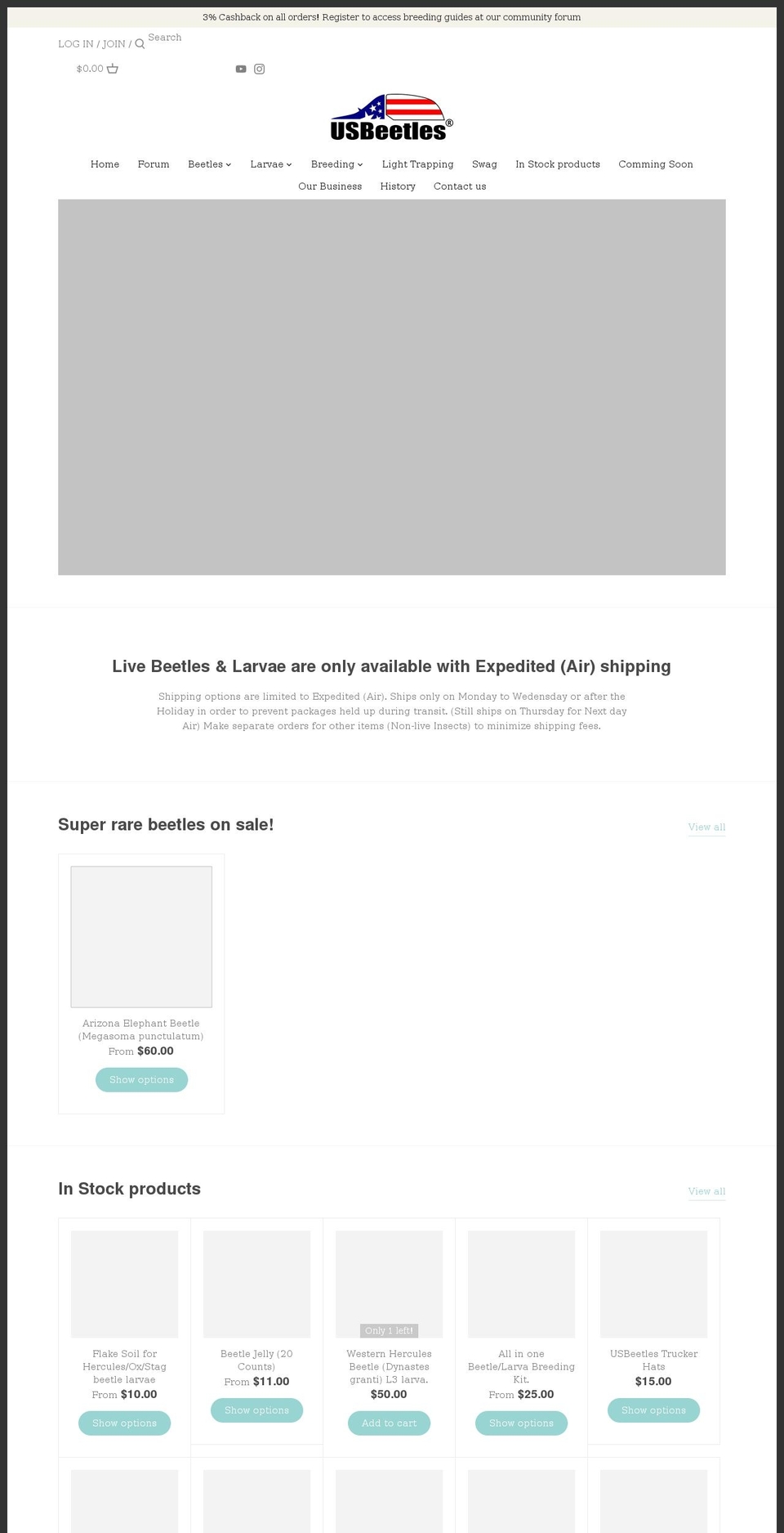 usbeetles.com shopify website screenshot