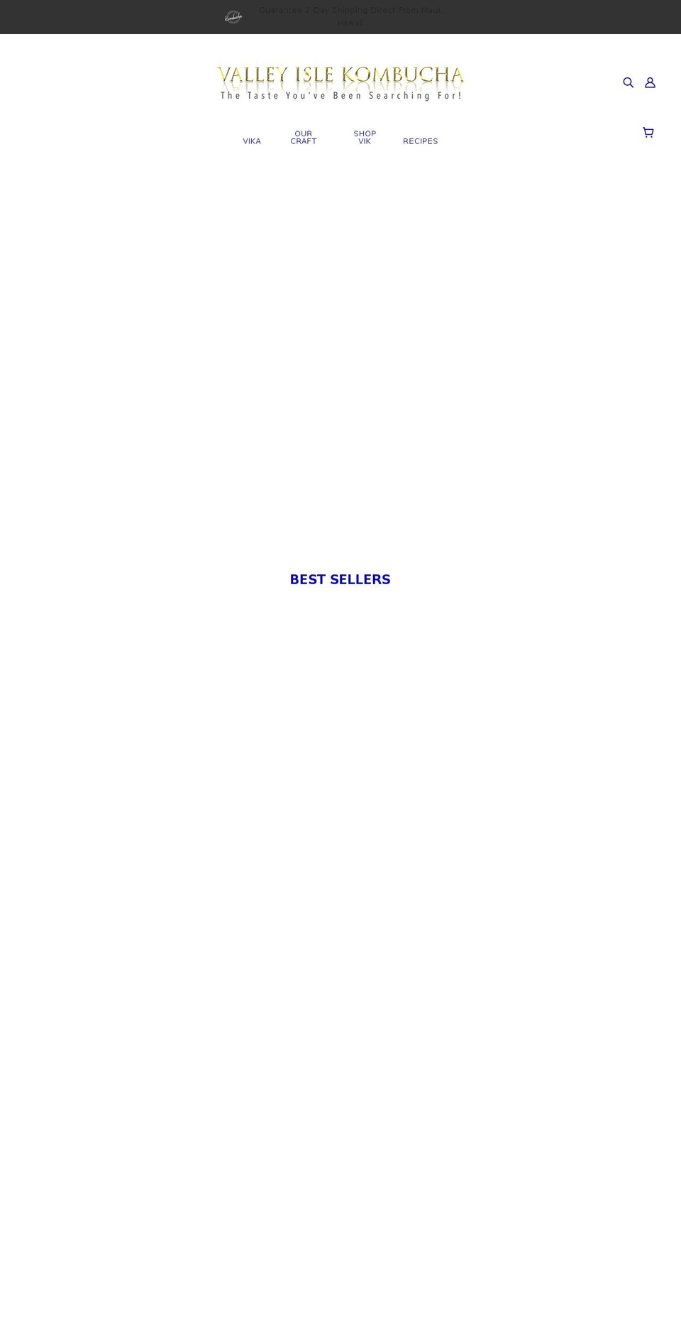 valleyislekombucha.com shopify website screenshot