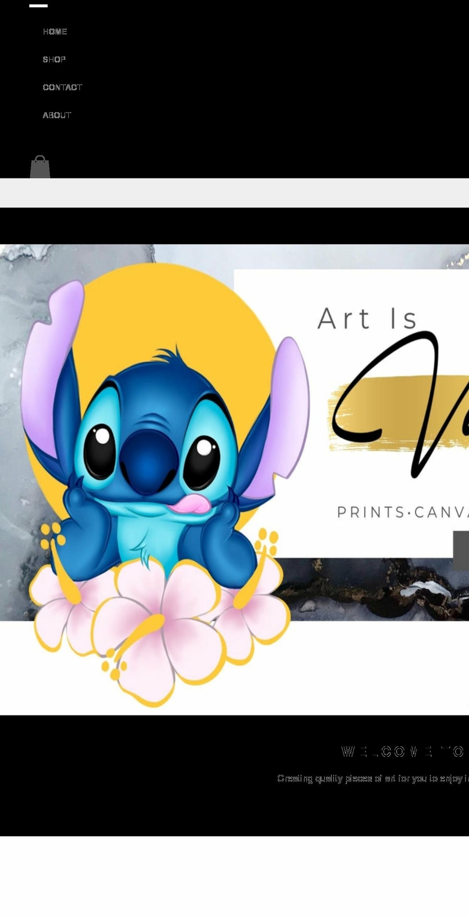 vanitydiaz.com shopify website screenshot