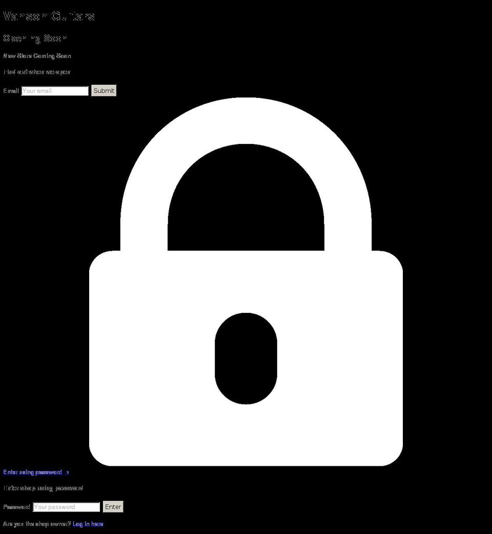 vansonguitars.com — Shopify storefront screenshot