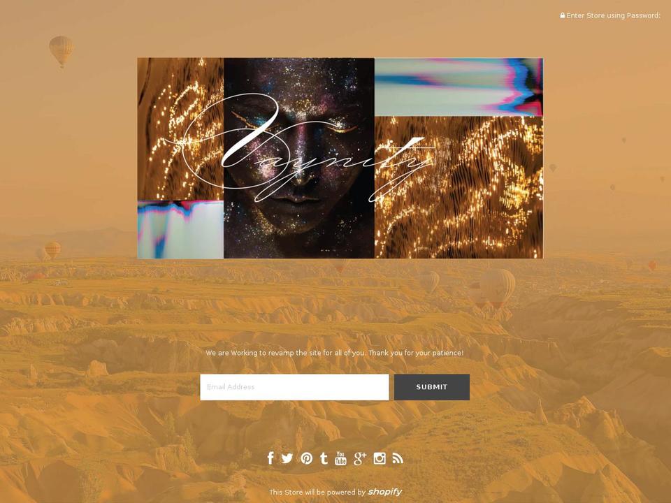 vaynity.com — Shopify storefront screenshot