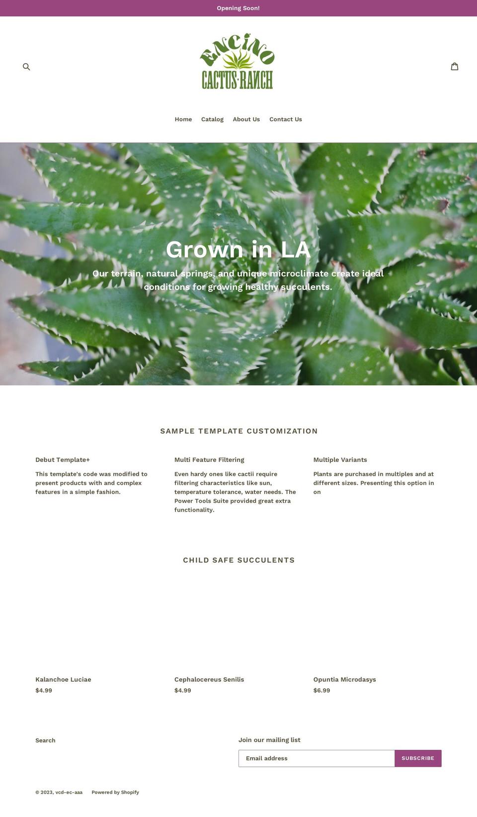 vcd-ec-aaa.myshopify.com shopify website screenshot