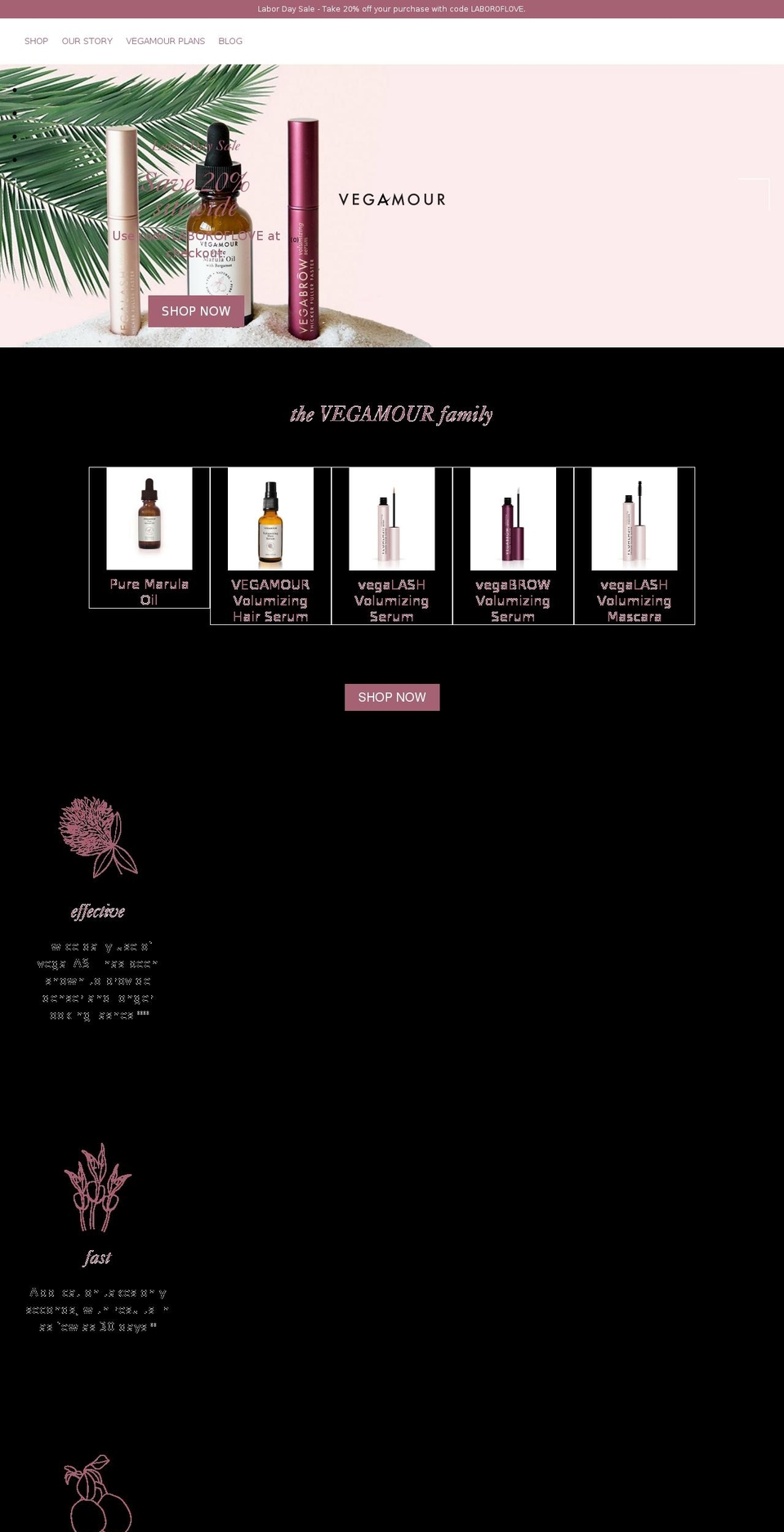 vegabrow.com shopify website screenshot