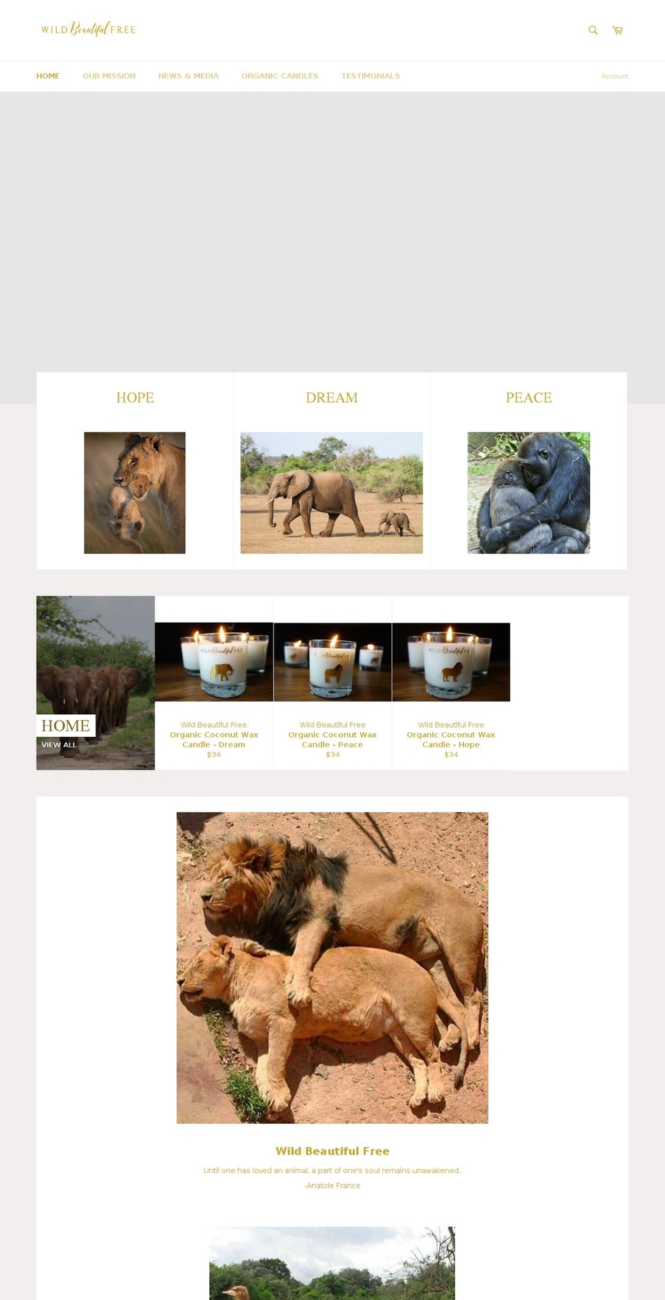 veganstarchildren.com — Shopify storefront screenshot