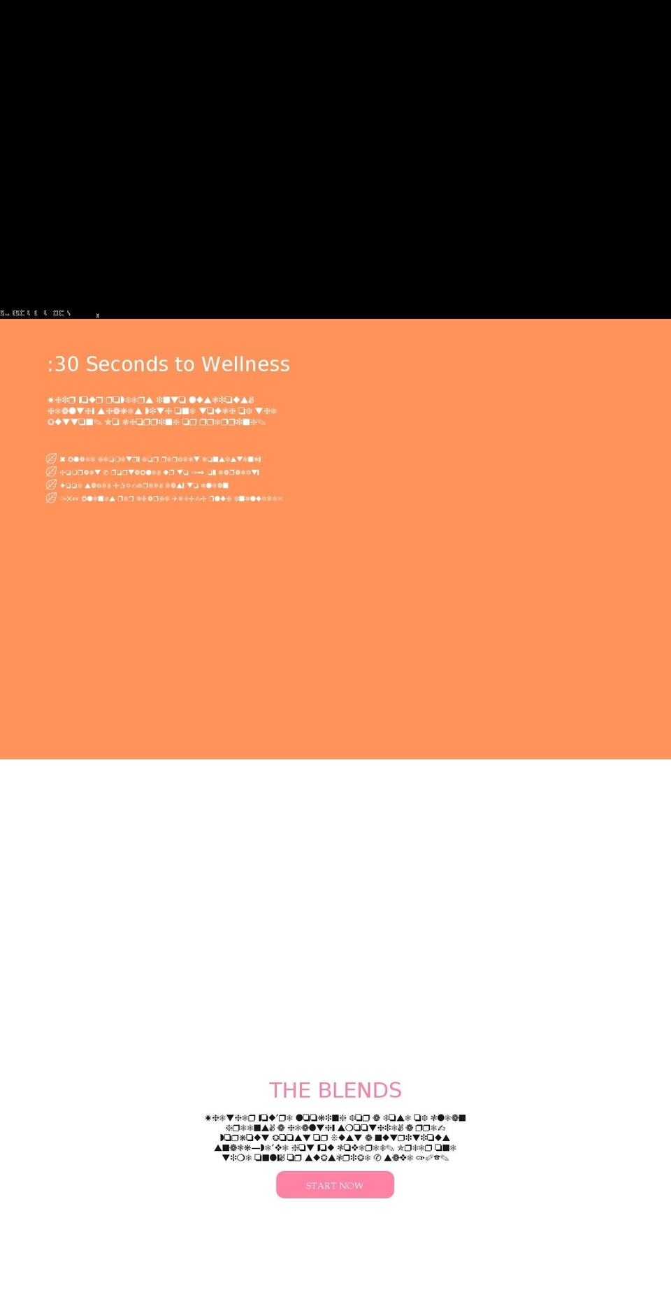 vejo.com shopify website screenshot